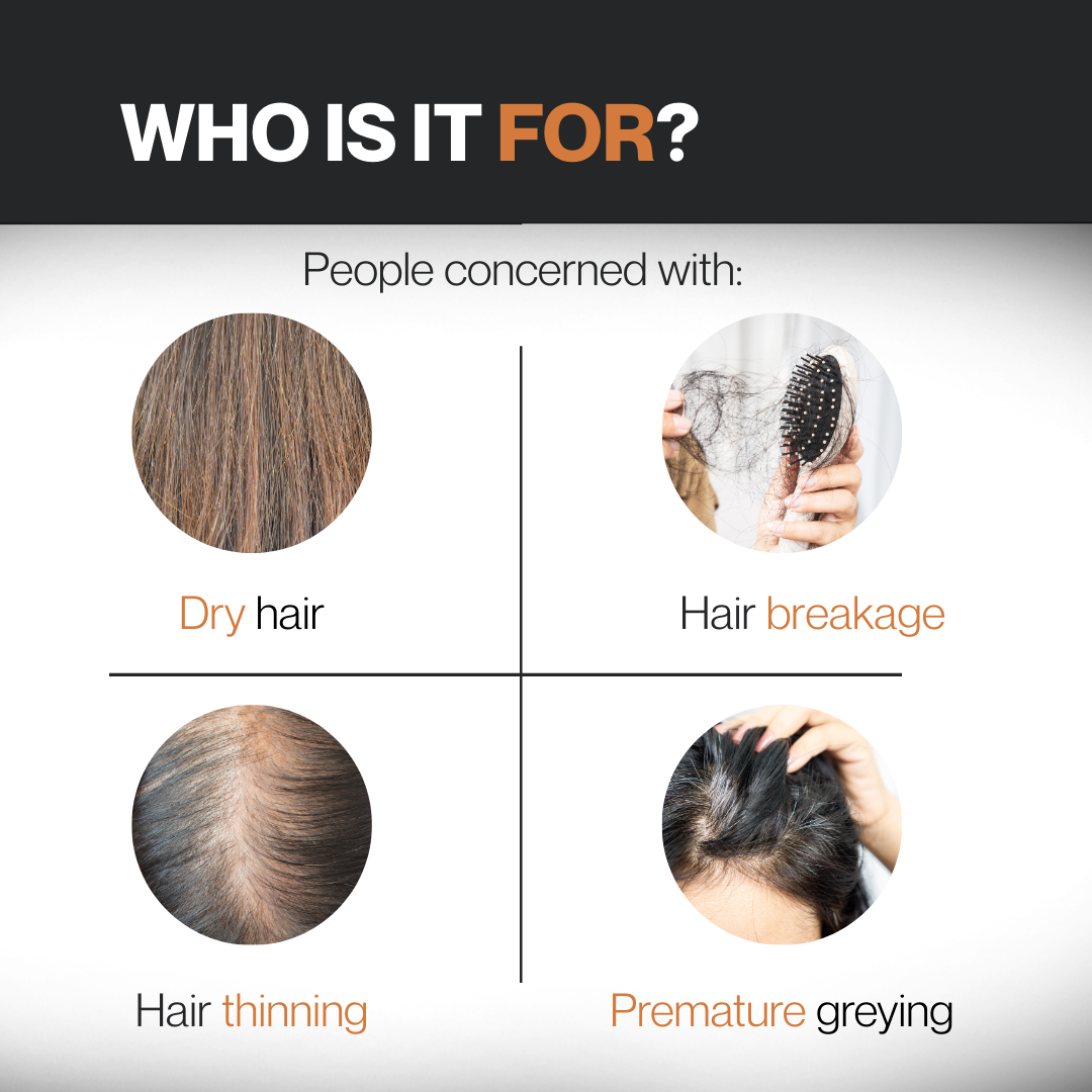 Onion Hair Care Combo – Oil, Shampoo & Conditioner Combo || Complete Hair Fall Control