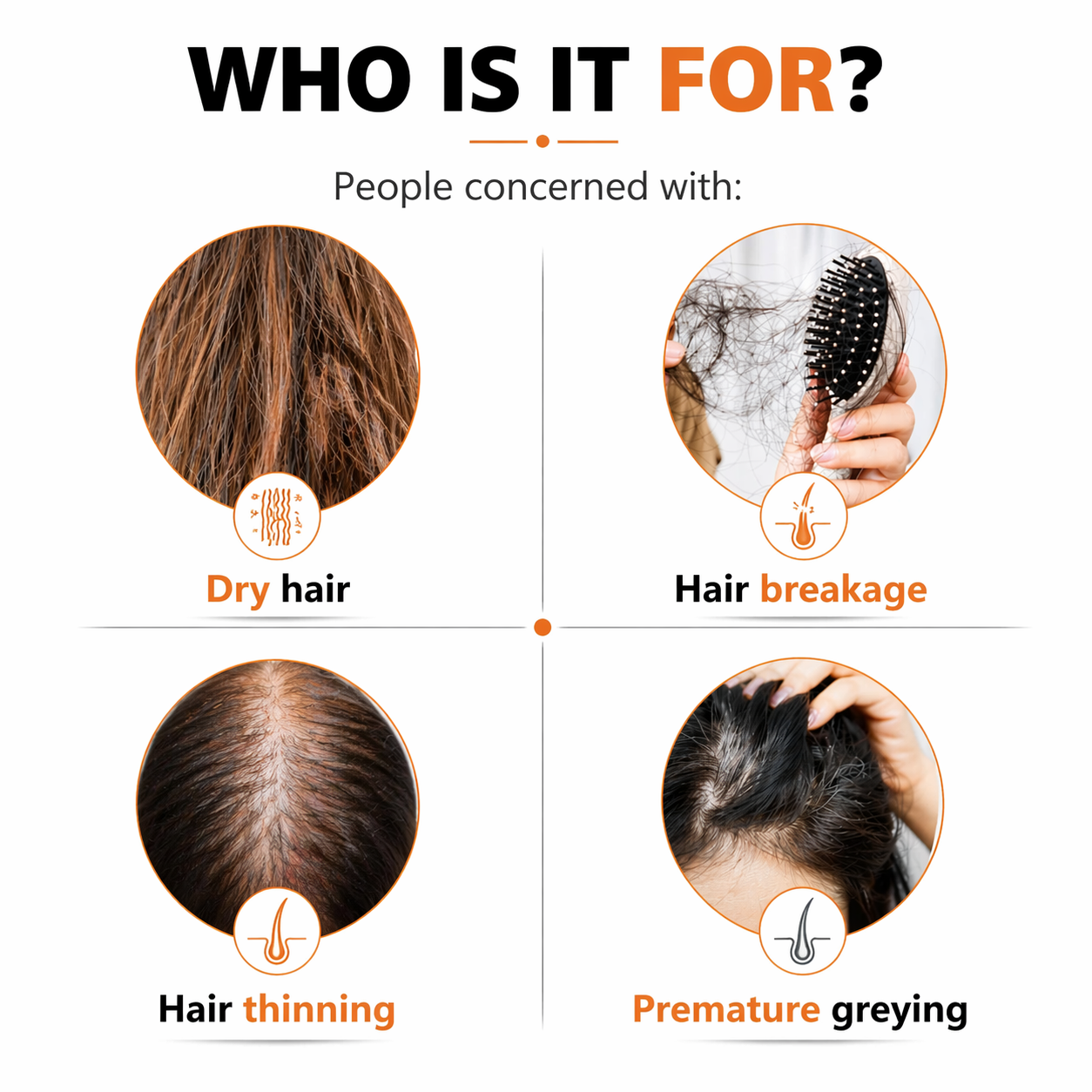 Onion Hair Care Combo – Oil, Shampoo & Conditioner Combo || Complete Hair Fall Control